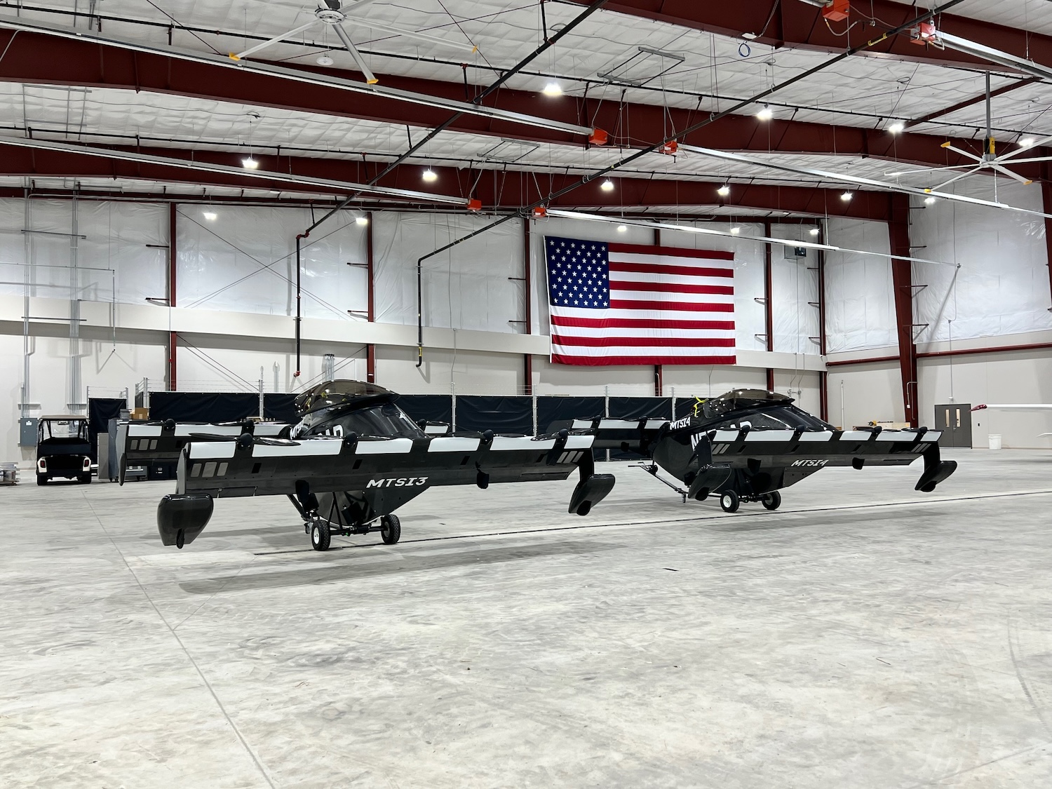 Two Black Flys at the Springfield Airport