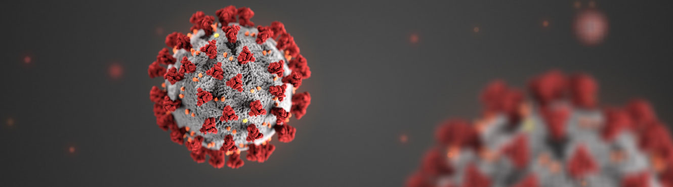 Image of a coronavirus