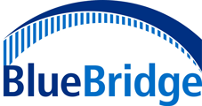 BlueBridge Networks logo