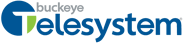 Buckeye TeleSystem logo