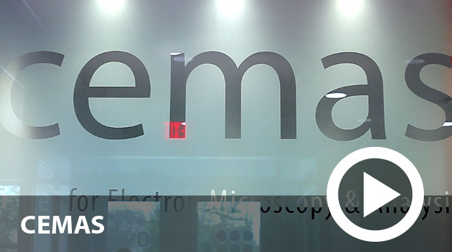 CEMAS logo on glass